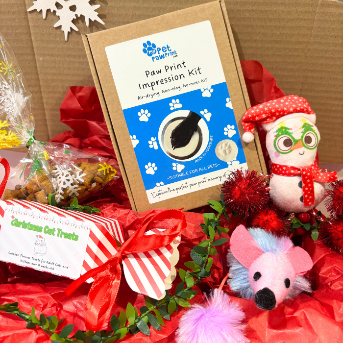 Personalised Christmas Cat Gift Hamper – Paw Print Keepsake, Toys & Treats