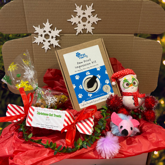 Personalised Christmas Cat Gift Hamper – Paw Print Keepsake, Toys & Treats