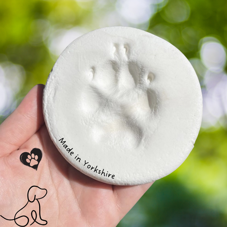 Paw Print Kits for Dogs, Cats and Pets