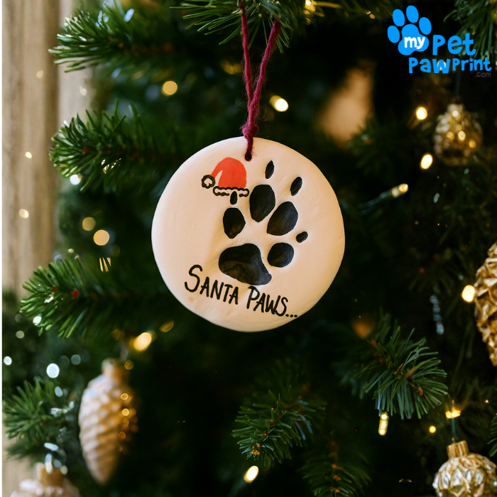 Personalised Christmas Cat Gift Hamper – Paw Print Keepsake, Toys & Treats