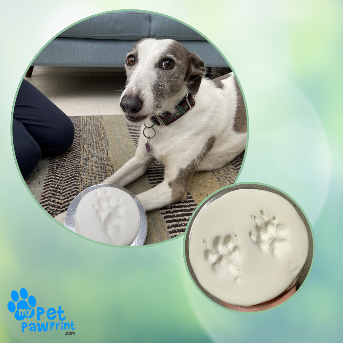 Paw Print Kit Large