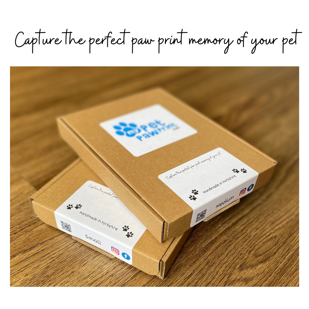 Best paw print kit clearance